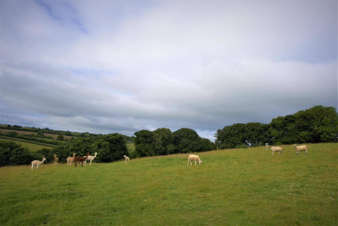 Ta Mill Cottages & Lodges - Meadowview Chalet 1 Launceston Bagian luar foto