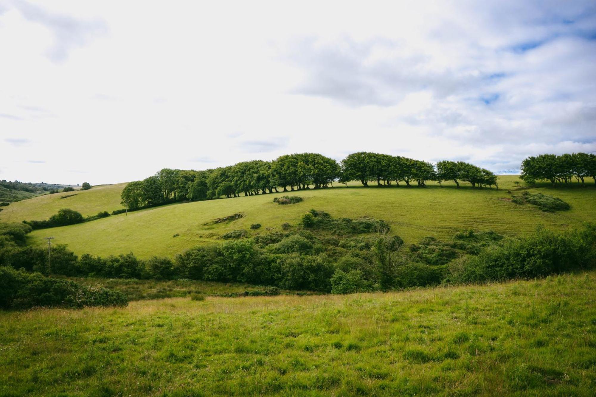 Ta Mill Cottages & Lodges - Meadowview Chalet 1 Launceston Bagian luar foto